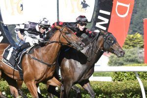 Maria Farina provides Weatherley family with stakes double