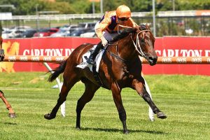 Sebonack is a strong chance in the Inglis at Flemington