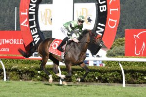 Oaks contender puts Wallace back in the game