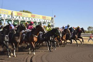Pioneer Park will host the Alice Springs Cup Carnival from April 8