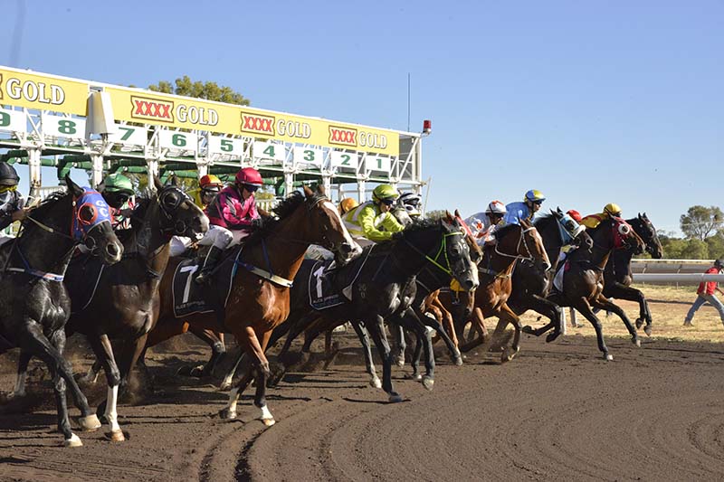 Pioneer Park will host the Alice Springs Cup Carnival from April 8
