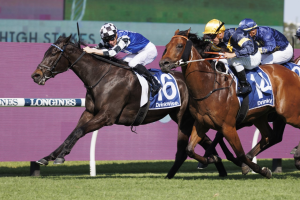 Protagonist is primed for a strong Doncaster Mile showing