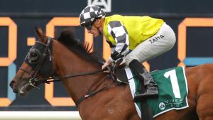 Prowess makes a mess of her rivals in Vinery Stud Stakes