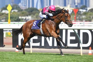 Sirileo Miss leads from start to finish in Group 3 Matron Stakes