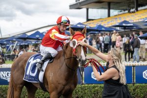 Tapildoodledo outstays his rivals in Group 2 Tulloch Stakes