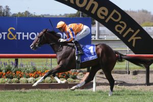 Group One success for undefeated Tokyo Tycoon