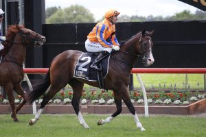 Bosson ready to cash in with Tycoon