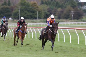 Trobriand thriving ahead of Sires’ Produce