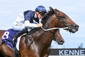 What You Need protects his unblemished record in Sunlight Classic