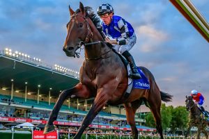Ciaron Maher Staff: Brave Mead may contest Sires’ Produce Stakes