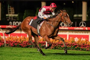 Papillon Club flying with progression after Alexandra Stakes win