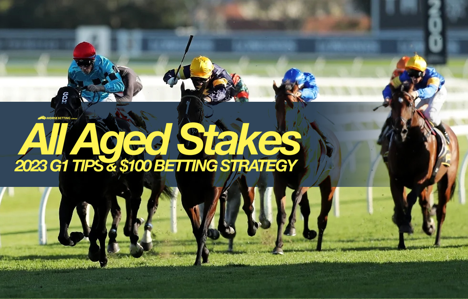All Aged Stakes betting tips