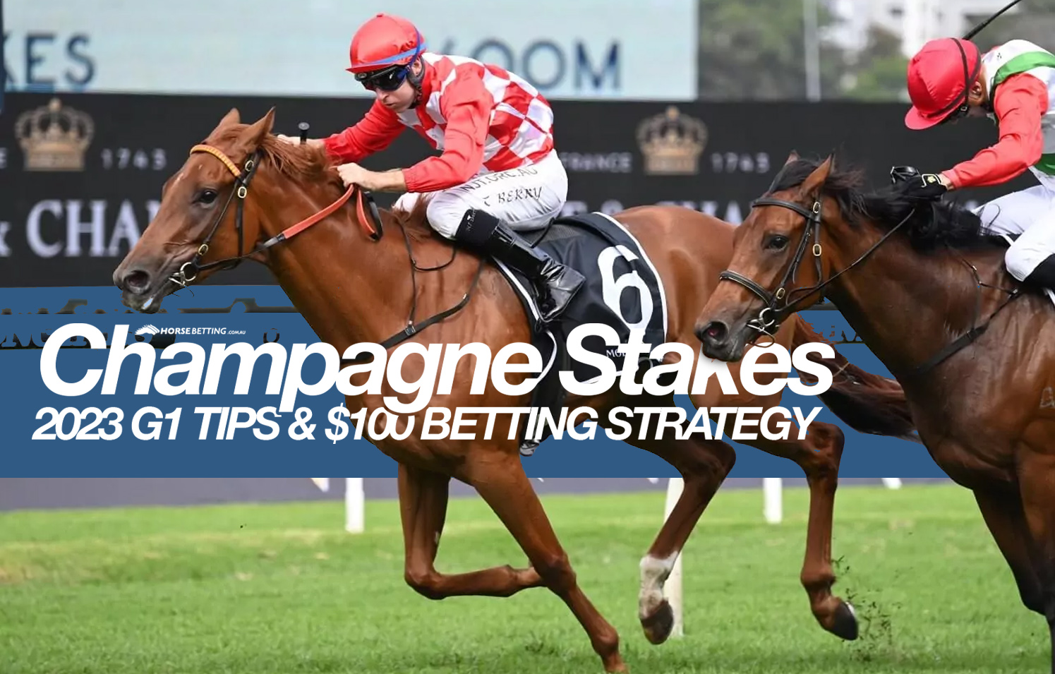 Champagne Stakes betting preview