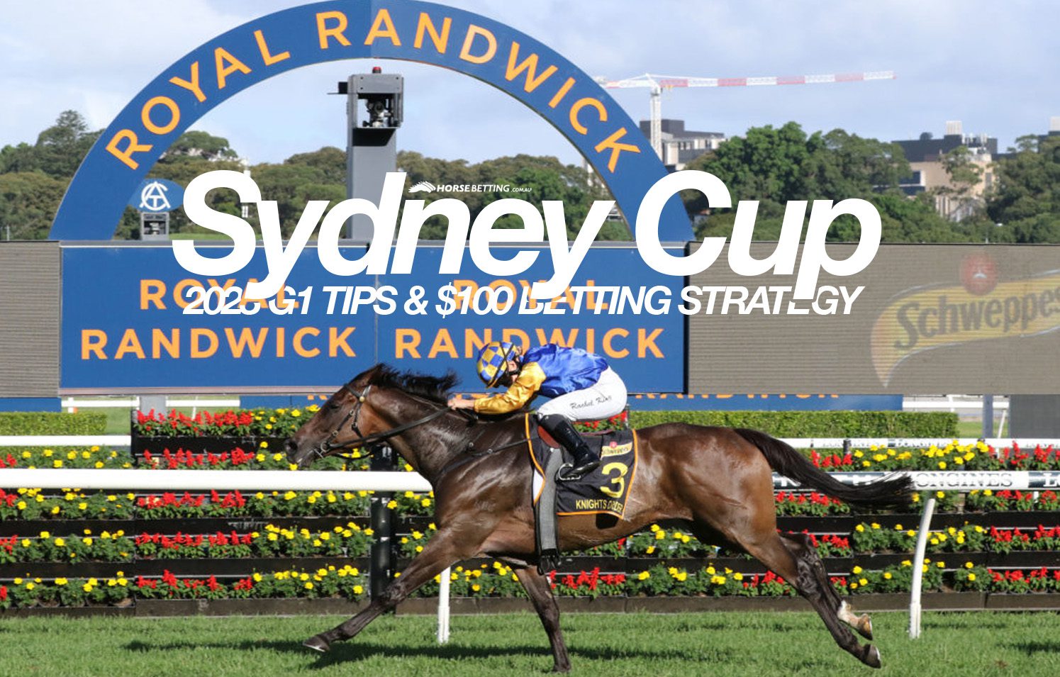 Sydney Cup preview