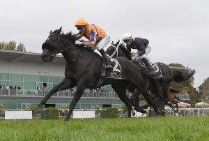 Brando all heart in Awapuni Gold Cup victory