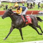 Cardinal Gem relishes the wet in Group 3 Victoria Handicap