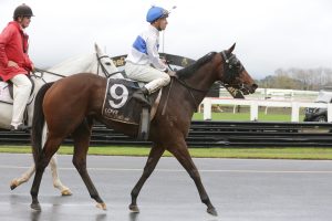 Cheval D’Or takes out three-year-old feature at Pukekohe