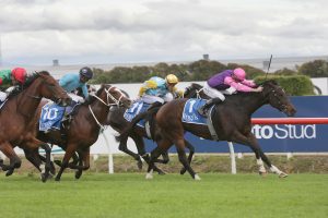 Denby Road delivers in Breeders’ Stakes