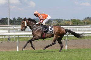 Pukekohe feature a possibility for Desert Lightning