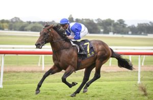 Hawaii Five Oh makes waves in the Hawkesbury Guineas