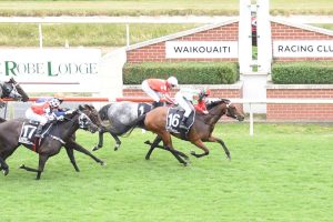 Inflamed to step up at Riccarton