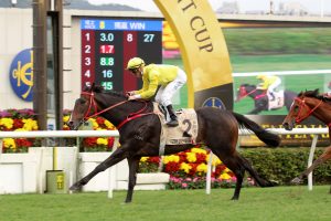 Lucky Sweynesse ready to roll for Group 2 Sprint Cup