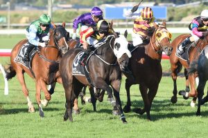 Manifique vying for home Cup glory