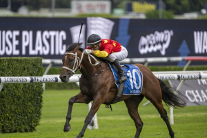Militarize bolts clear in ATC Sire Produce Stakes