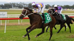 New Mandate dominates his rivals in Hawkesbury Cup victory