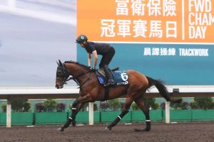 Race manners, tempo key to Prognosis in QEII Cup