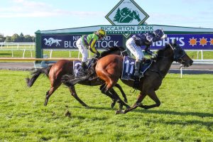 Team Tyler take Warstep Stakes with She’s A Con