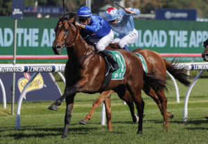 The Damien Oliver attracts capacity field