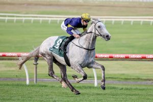 White Marlin shows Melbourne Cup credentials in Easter Cup win