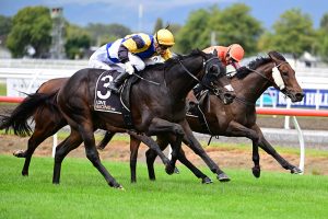 Arby to contest Queensland Derby