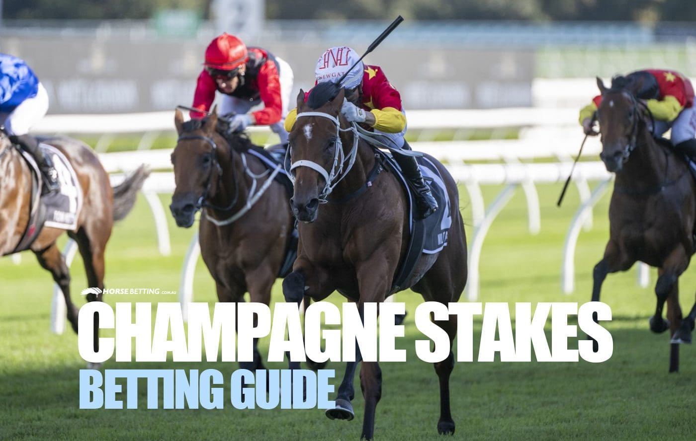 Champagne Stakes 2024 Betting Guide Field Odds & History