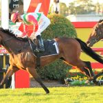 Fireburn scratched from Group 1 Queensland Oaks