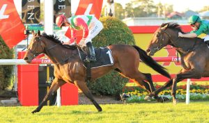 Fireburn scratched from Group 1 Queensland Oaks