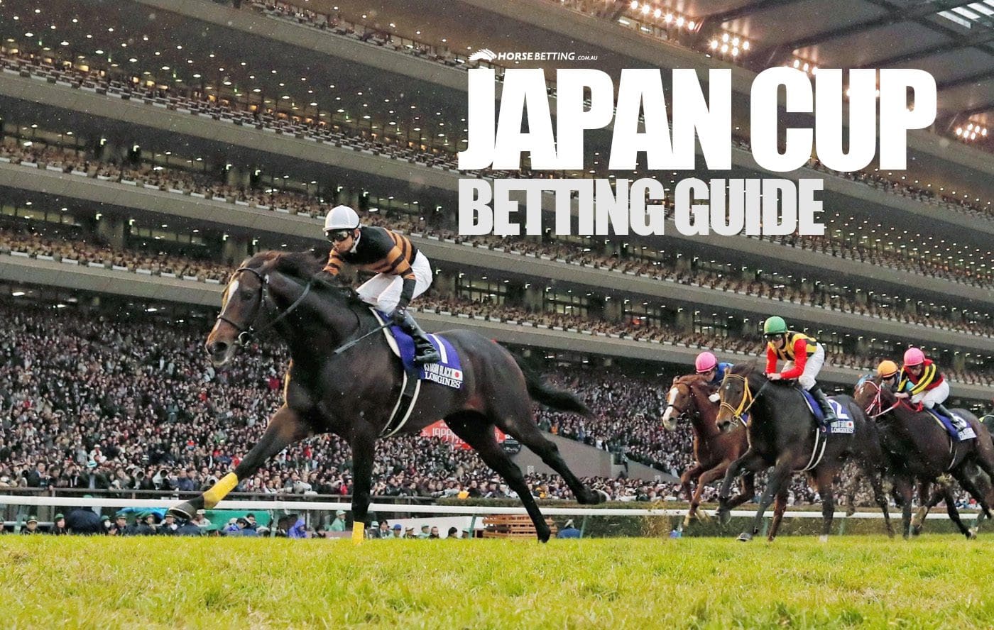 Japan Cup 2024 Betting Guide | Japan Cup Tips & Betting Odds