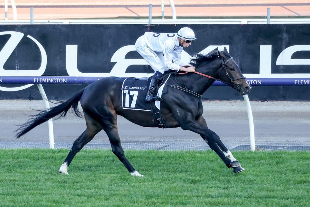 Melbourne Cup Order of Entry 2023 Past Fields & Qualifiers Melbourne Cup Order of Entry 2023 Past Fields & Qualifiers