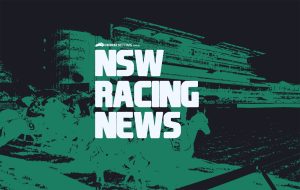 NSW horse racing news