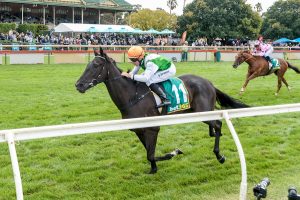 South Australian Derby attracts capacity field of 16