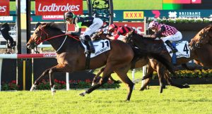 Think About It too strong for rivals in Kingsford Smith Cup