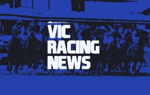 Gillon McLachlan set to lead Racing Victoria as new chairman