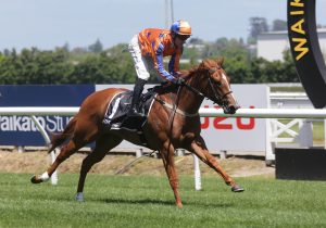 Youngsters ready for stakes challenges