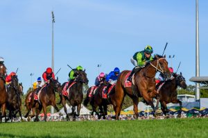 Yellow Brick proves too good for rivals in Gold Coast Guineas