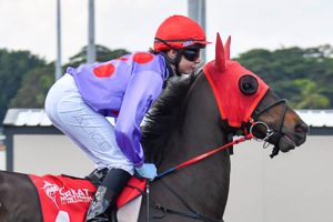 Former Victorian galloper Ironedge finally salutes in the NT