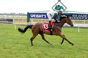 Terry Kennedy confident of good day at Riccarton