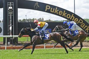 Finest Wine heading to unknown Cambridge Synthetic track
