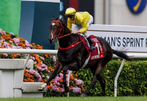 Group 3 Sha Tin Vase Handicap weight challenge for Lucky Sweynesse