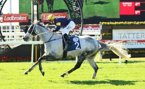 Luncies dominates his rivals in Group 3 Tattersall's Cup